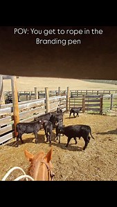 Life is better in the springtime ☀️ • • • #western #southdakota #country #branding #cows #angus #cowpuncher #buckaroo #cowpoke #cowboy #longlivethewest #ranchlife #horses #horse #ranch #ranching #fyp #viral #reels #viralreels #pov #firstperson #entertaining | Ben Kretchman Official