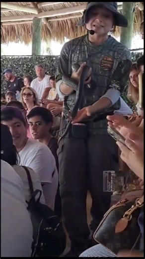 Everglades Snake Show | Up-Close with Florida Snakes