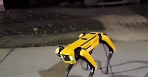 Freaky video showing ‘robot dog’ walking down street in life-like manner gets over 12 million views [WATCH]