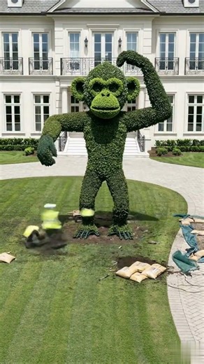 Thinking Monkey Garden Sculpture! 🐒 La Scimmia Pensierosa in Giardino #shorts