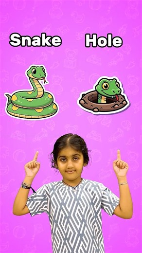 Animals and Their Homes 2 🐯🏡 | Learn Animal House Names for Kids