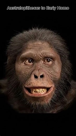 The First Tools That Made Us Human.