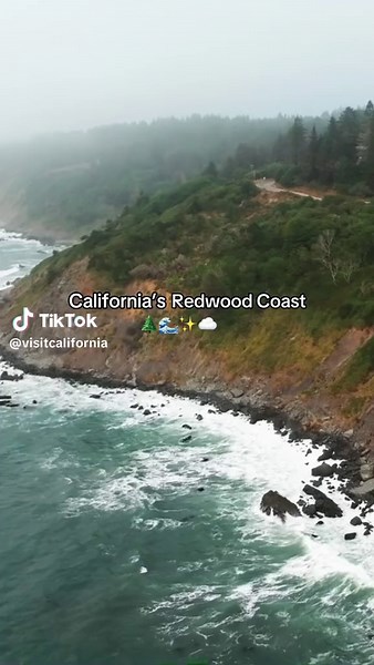 Have you ever visited this part of California? ✨ Humboldt County is home to ancient redwood forests, a rugged coastline and the world-famous Avenue of the Giants 🌲🚗 #VisitCalifornia #California #HumboldtCounty #NorthCoast #coastal #travel #getaway #redwoods #roadtrip #aerial #drone #traveltiktok #avenueofthegiants