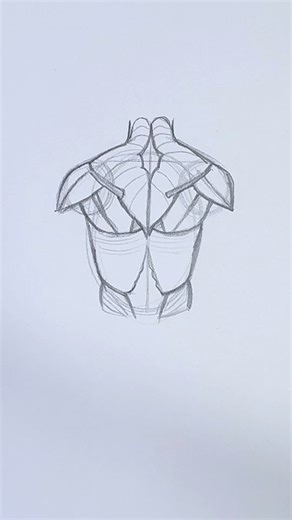 How to draw back muscles #drawing #art #sketch #howtodraw #muscle