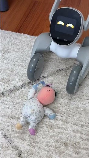 Robot köpeğim sol tarafından kalktı 😥