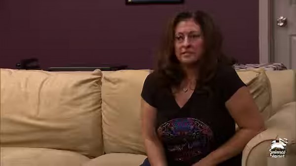 After years of waiting for a forever home, Jackson finally gets his shot, but an unexpected obstacle could derail the whole adoption. #PitBullsAndParolees #pitbulls | Animal Planet