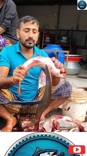 Perfect Pangas Fish Cutting | Clean & Satisfying Filleting Skills 🐟🔪 #asmr #fishcutting #fishfillet