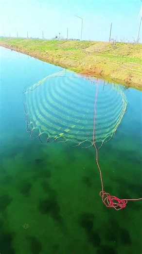 Cast fishing nets