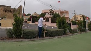 50K views · 877 reactions | Duty called me today, these trees couldn't wait till Monday to be fixed so I tried my best to put them upright again before they get worse. Plus very dangerous for the traffic during the night. | Raniero's Adventures - Live Life | Facebook