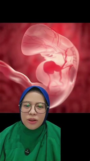 6 WEEKS FETAL DEVELOPMENT....