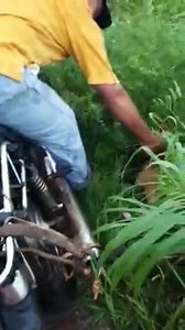 2M views · 4.3K shares | Paraguay - En Santa Rosa - Las Misiones Un perro era arrastrado por su dueño en moto. Ver video. En el próximo posteo te mostramos el final de la historia. | Radio Gonnet FM | Facebook