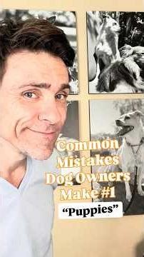 Common Dog Owner Mistakes Part 1 (Puppies)