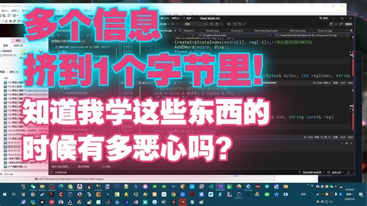 学Windows最恶心的就是多个信息挤到1个字节里！