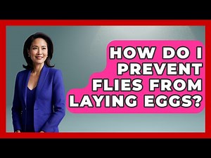 How Do I Prevent Flies From Laying Eggs? - Insects and Invaders