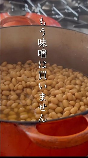How to make miso is easier than you think