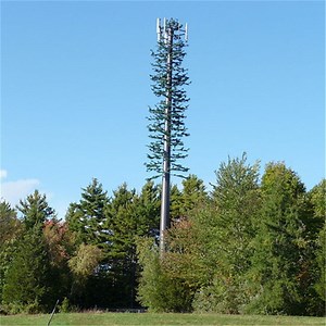 [Hot Item] 20m Antenna Steel Communication Monopines Tree Stealth Towers