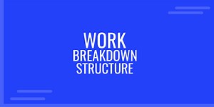 What is a Work Breakdown Structure?