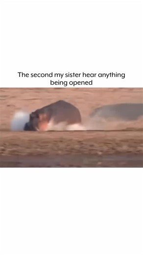 Forever Sisters | Tag your Sister 🤣🤣 #postoftheday #funny #life #sisters #viralreels #trendingreels #trending #sisterlove #siblings #fyp #instagram #love... | Instagram