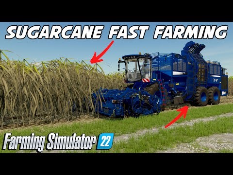 Console Fast Farming Sugarcane