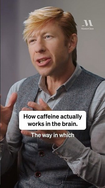 How caffeine actually works in the brain | MasterClass