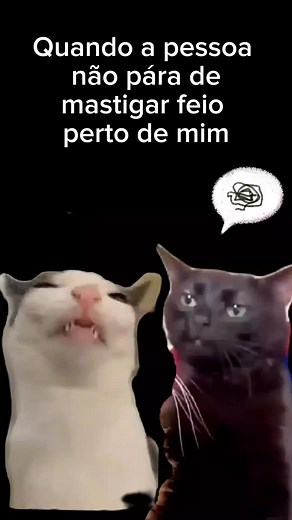 Desafiando o Olhar: Gatos Divertidos e Memes Engraçados
