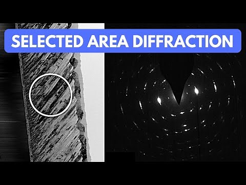 FEI Tecnai F20 S/TEM: selected area diffraction