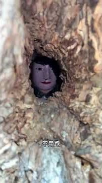 Unleash Your Adventure: 5 Outdoor Escapes You Can't Miss