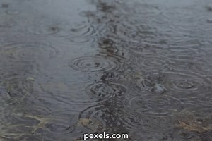 Pouring Rain Videos, Download The BEST Free 4k Stock Video Footage & Pouring Rain HD Video Clips