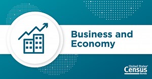 Using Census Bureau Statistics