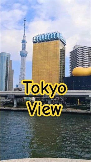 tokyo view #sky tree view #japan view #river view #ship view #mohanjapani