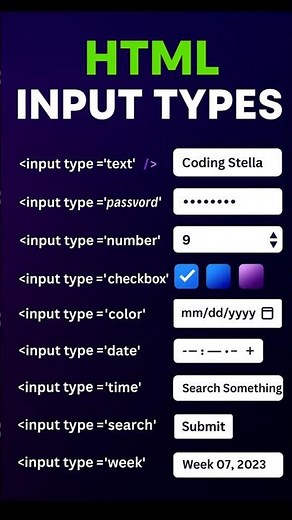HTML Input Types Explained with Examples | Every HTML Input Type You Must Know! | Beginner to Pro