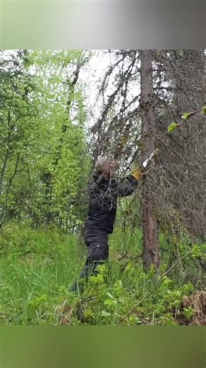 Our first cabin trip in the wild — you won’t believe what we found out here! 🏔 #cabinlife #offgridliving #outdooradventure #remotewilderness #naturevibes