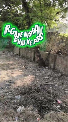 A DAY OF Life JOB 😅 #shorts