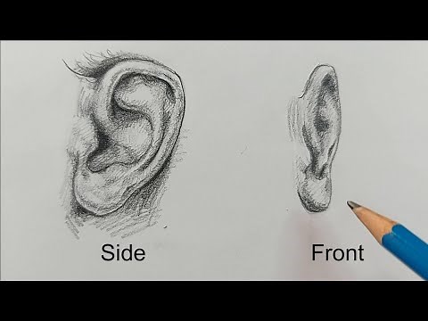 How to Draw Ears | Two Different Views| Step-by-Step Tutorial