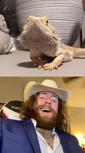 Makes sense partner‼️🤠🤝🦎 | HairyHare