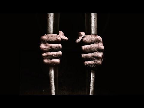 Бивень (2014) | Трейлер