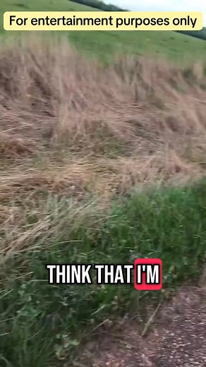 5.5K views · 94 reactions | Cydectin pour on de-wormer for lice #cow #farmer #farm #healthcare #livehighlights #tiktoklive | The Cussing Farmers | Facebook