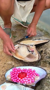 83K views · 932 reactions | Collect pearls in the wild and harvest the precious purple ruby pearls in the water. Valuable #pearl #pearls #gems #gemstones #reels | Hai jiang | Facebook