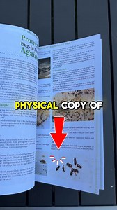 😮 A Navy SEAL’s Bug-In Guide 👉 ✅ You Asked, We Listened -> “A Navy Seal’s Bug-In Guide” is NOW Available In it, you’ll find things like: ➡️ How to make your house invisible to looters ➡️ 39 of the cheapest and most nutritious survival foods you should stockpile right away ➡️ How to easily stockpile a ton of water for 365 days ➡️ The best survival generator on a small budget ➡️ How to cook without smoke ➡️ What substance to add to fuel to preserve it for years ➡️ How to grow extra food indoors 