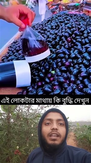 জাম চুরি করতে গিয়ে যা ঘটলো #vlogwithsohelvillagelifestyleinbangladeshbeautiful #facts #funny