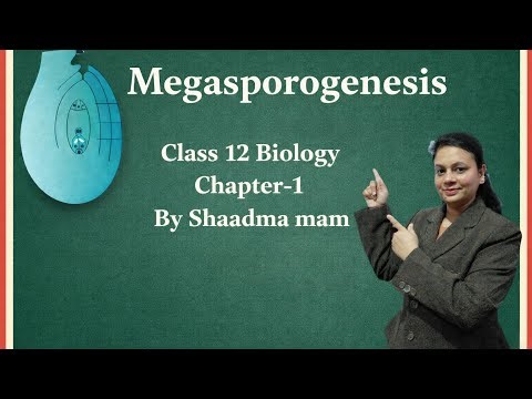 Megasporogenesis class 12 @ZooBot-20 #class12biology