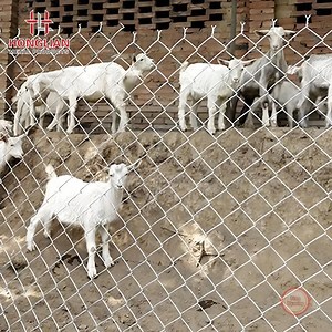 [Hot Item] Construction Site Security Grade Cyclone Fencing