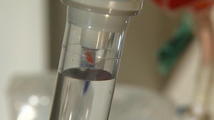 Health Canada approves of Elahere which helps treat platinum-resistant ovarian cancer