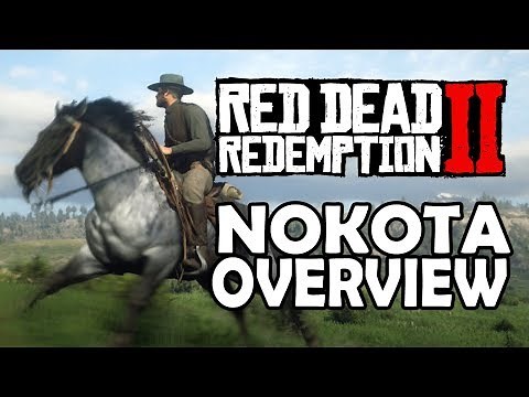 Nokota Overview | Red Dead Redemption 2 Horses