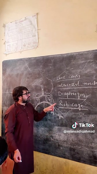 Breathing process #foryoupage #foryou #viral #trending #breathing #STEMFORFOUPAGE #stemforyou #STEM #ghssmingorahajibaba #biology #knowledge @Mian Sadique Ahmad @Kashif Usman @Tahir ali @watch Mark ⌚️ @Waqas Ahmad @A̺͆w̺͆a̺͆n̺͆ @Said Urrahman482 @👑Míäñ Säb Kíñg 👑 @Taqawa Bhai @khattak