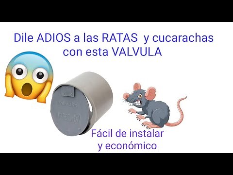 NO MORE RODENTS IN YOUR DRAIN RATS AND COCKROACHES