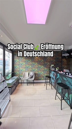 Altes Format - Neu verpackt🪴 Gr0w Besuche gehen wieder los!*Rein journalistisch aufgenommen*