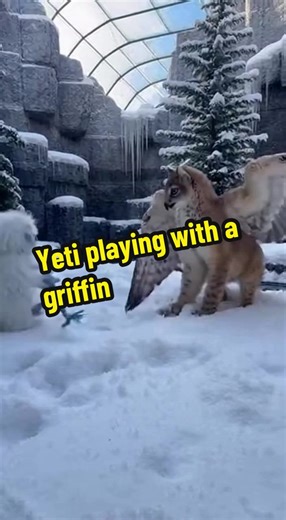 Yeti and Griffin Playtime at the Zoo