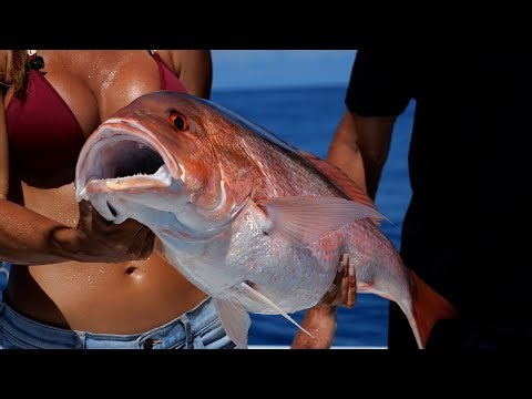 Fishing with Luiza Catching BIG Red Snapper in the Florida Middle Grounds