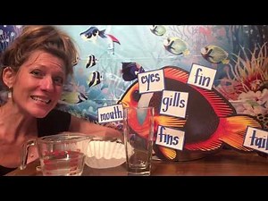 🐠 ‘How Do Fish Breathe?’ Science Experiment